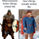 Vikings in a nutshell