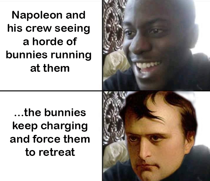 Napoleon and bunnies