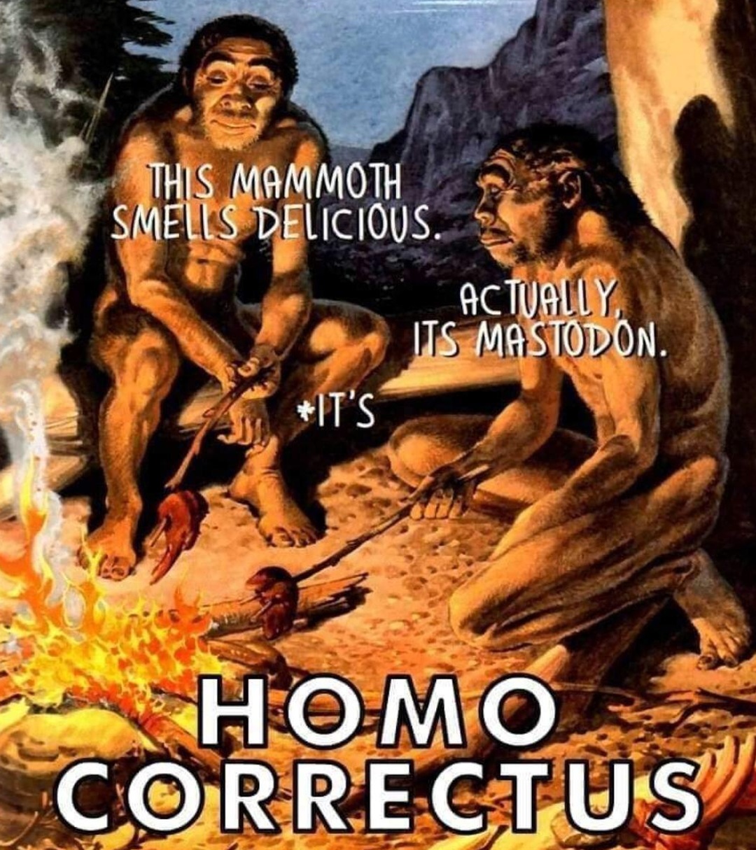 Stone age and homo correctus