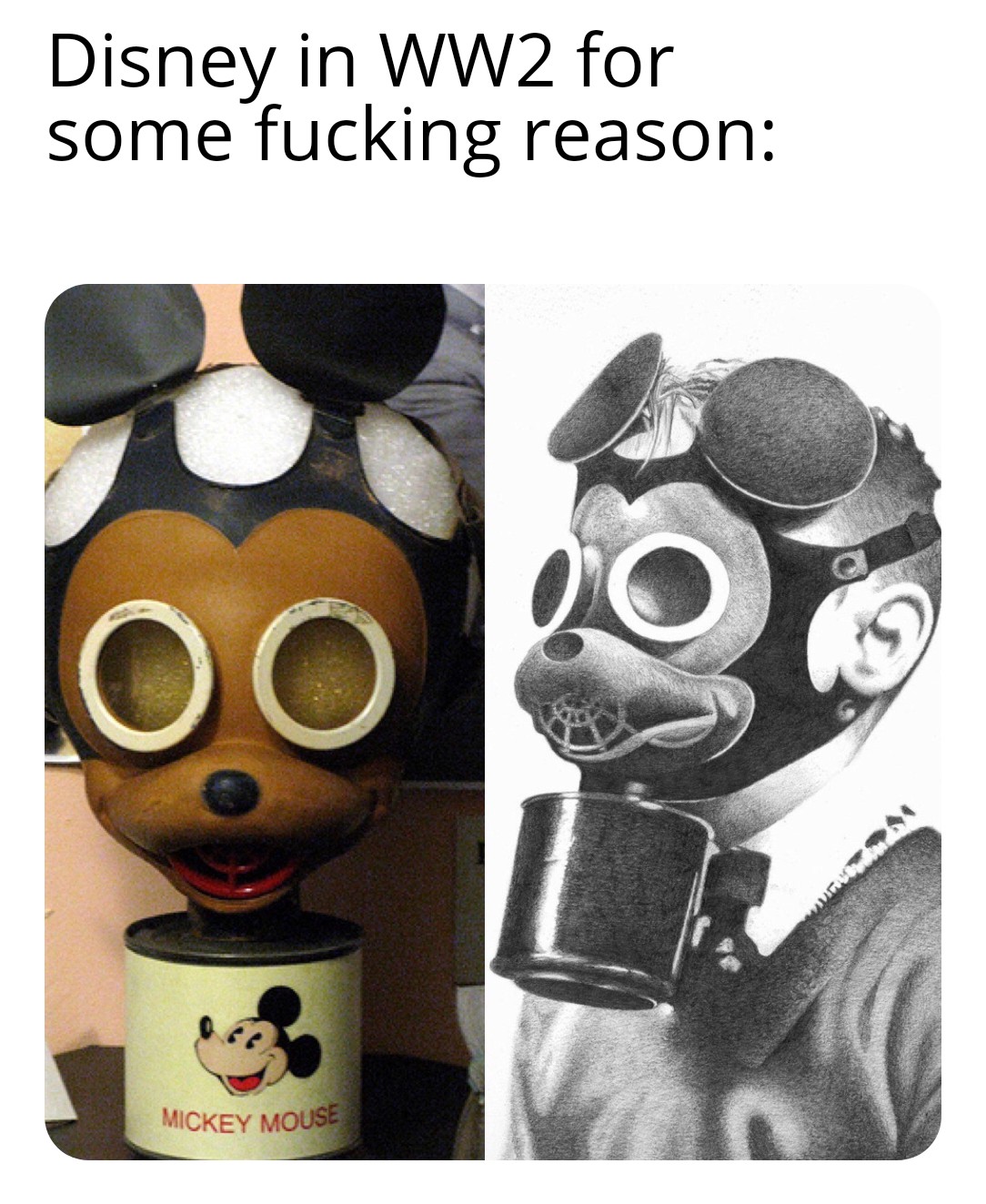 During WW2 Disney made these gas masks for children that were afraid of the regular gas masks to wear.